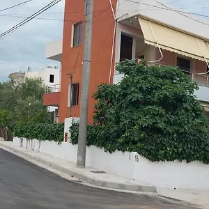 Shpetim Zogaj. , Ксамил Албания